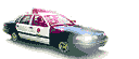 DUI Tampa DUI Attorney 813-222-2220 Cops